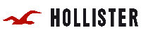 Hollister Size charts