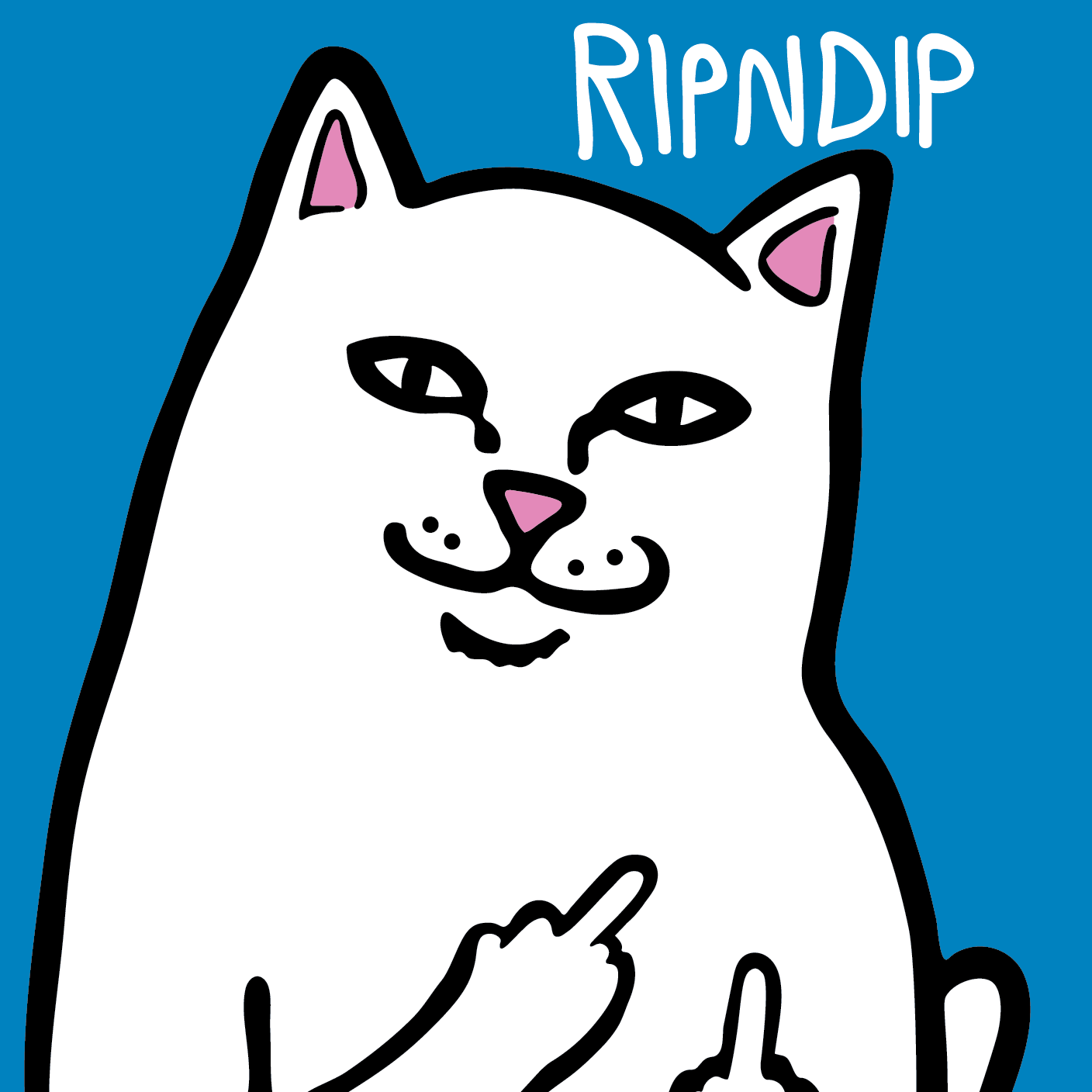 RIPNDIP Розмірні таблиці