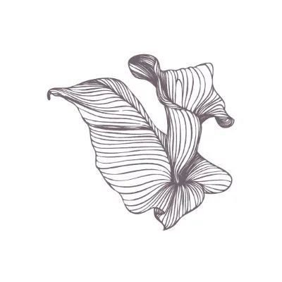 Fleur't (Fleur't ) Розмірні таблиці Fleur't (Fleur't ) Розмірні таблиці
