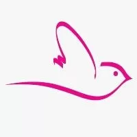 Carnival Розмірні таблиці Carnival Розмірні таблиці