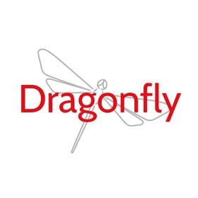 Dragonfly Size charts