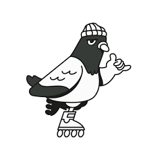 Echo Skates Size charts