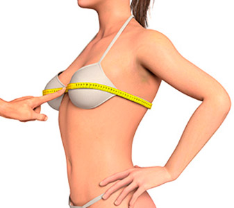 Female bust measurement