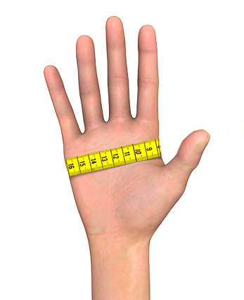 Female palm width measurement