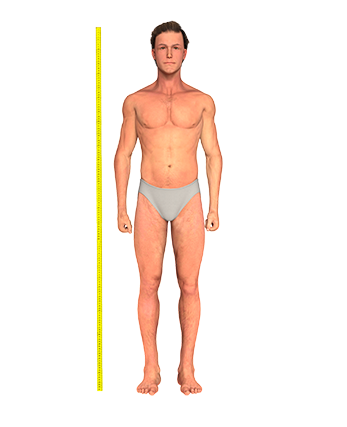 Male height measurement
