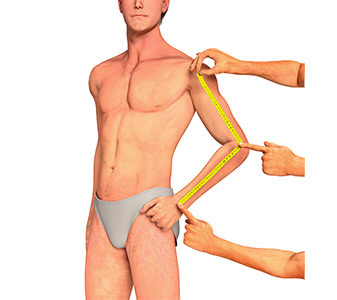 Male Arm length (from shoulder) measurement