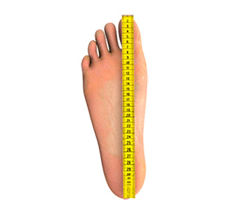 Female feet length measurement